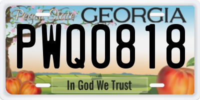 GA license plate PWQ0818