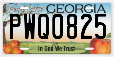 GA license plate PWQ0825