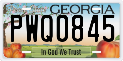 GA license plate PWQ0845