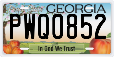 GA license plate PWQ0852