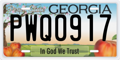 GA license plate PWQ0917