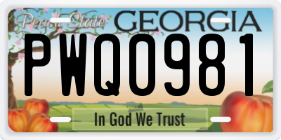 GA license plate PWQ0981