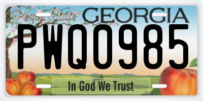 GA license plate PWQ0985