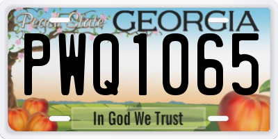 GA license plate PWQ1065