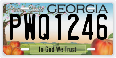 GA license plate PWQ1246