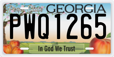 GA license plate PWQ1265