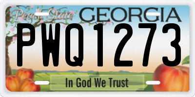 GA license plate PWQ1273