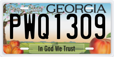 GA license plate PWQ1309