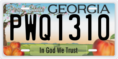 GA license plate PWQ1310