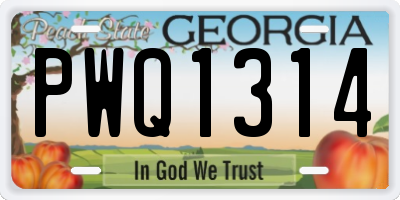 GA license plate PWQ1314