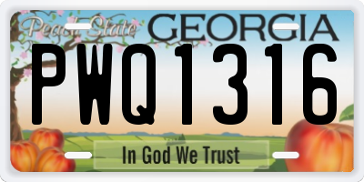 GA license plate PWQ1316