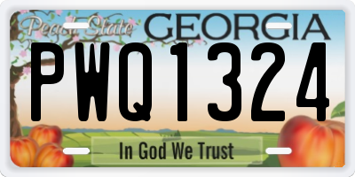 GA license plate PWQ1324