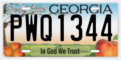 GA license plate PWQ1344
