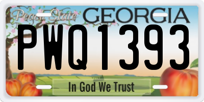GA license plate PWQ1393