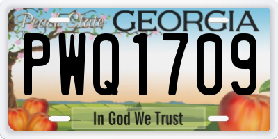 GA license plate PWQ1709