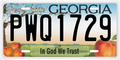 GA license plate PWQ1729