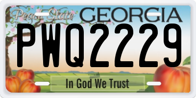 GA license plate PWQ2229