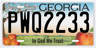 GA license plate PWQ2233