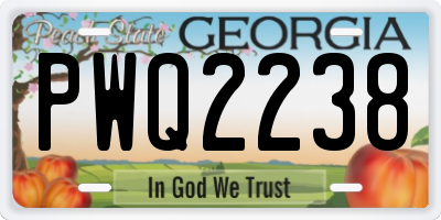 GA license plate PWQ2238