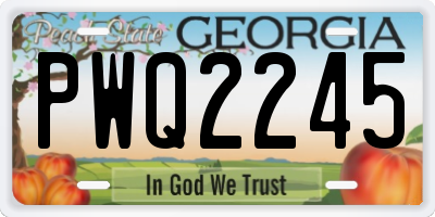 GA license plate PWQ2245