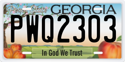 GA license plate PWQ2303