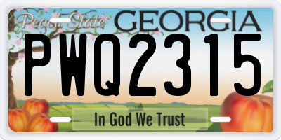 GA license plate PWQ2315