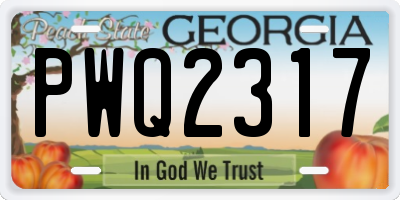 GA license plate PWQ2317