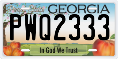 GA license plate PWQ2333