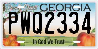 GA license plate PWQ2334
