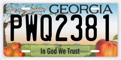 GA license plate PWQ2381