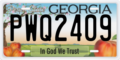 GA license plate PWQ2409