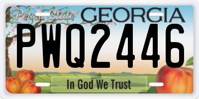 GA license plate PWQ2446