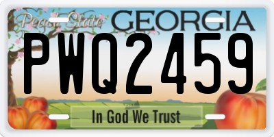 GA license plate PWQ2459