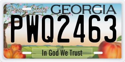 GA license plate PWQ2463