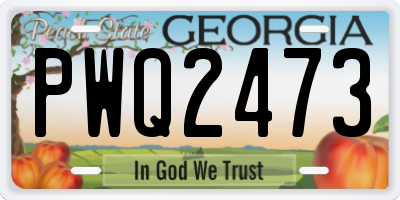 GA license plate PWQ2473