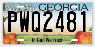 GA license plate PWQ2481