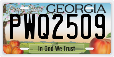 GA license plate PWQ2509