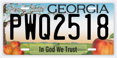 GA license plate PWQ2518