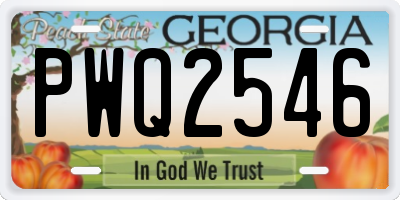 GA license plate PWQ2546