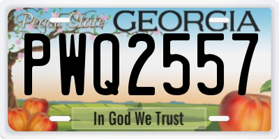 GA license plate PWQ2557