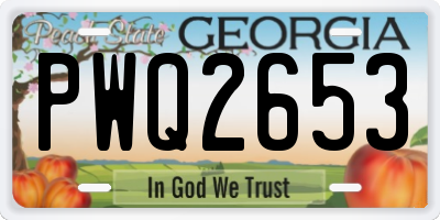 GA license plate PWQ2653