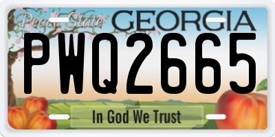 GA license plate PWQ2665