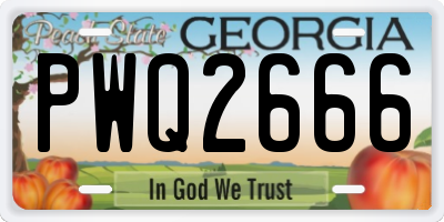 GA license plate PWQ2666