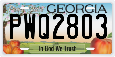 GA license plate PWQ2803