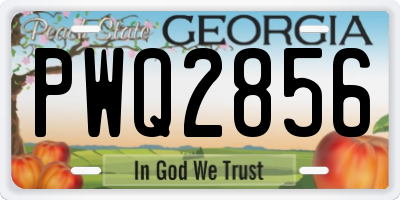 GA license plate PWQ2856