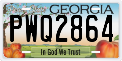 GA license plate PWQ2864