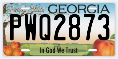 GA license plate PWQ2873