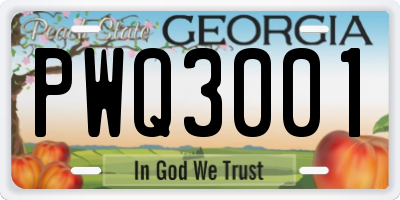 GA license plate PWQ3001