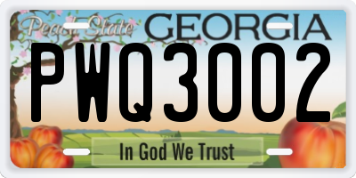 GA license plate PWQ3002