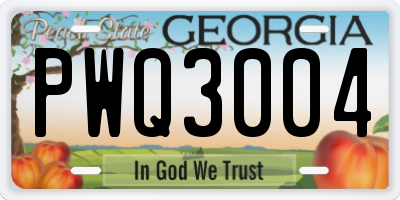GA license plate PWQ3004